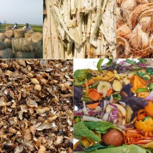 THU MUA VỎ TRẤU, XƠ DỪA, BÃ MÍA